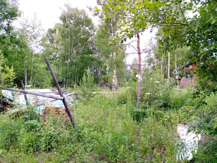 Участок 10 сот. (СНТ, ДНП)