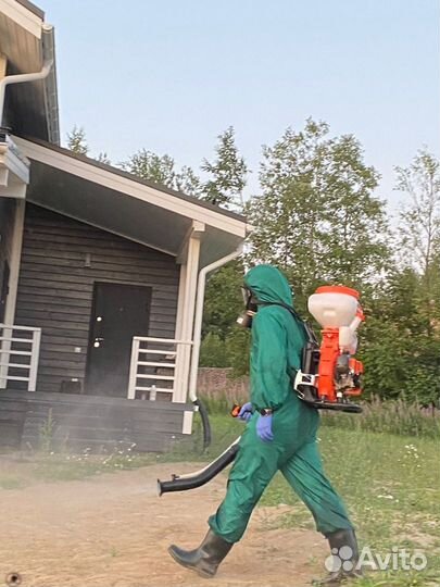 Обработка от клещей Уничтожение клопов Дезинфекция