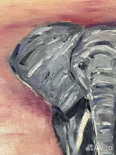 Картина маслом на холсте Слон