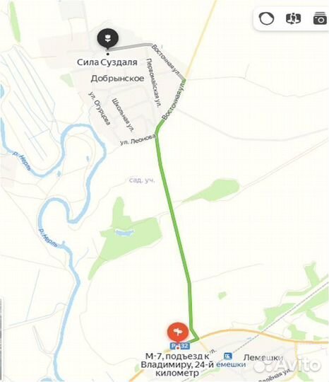 Ежа сборная / семена ежи сборной