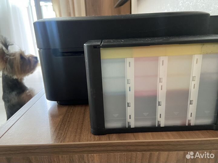 Принтер epson l210