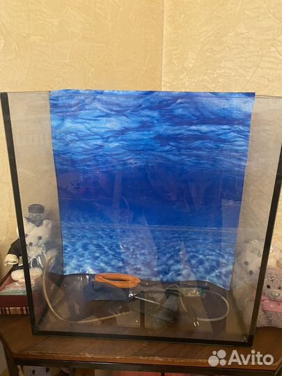Аквариум