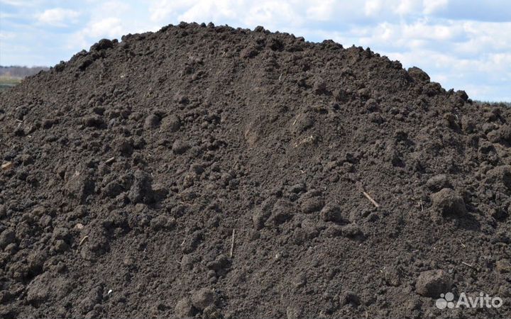 Приму грунт бесплатно большой объем