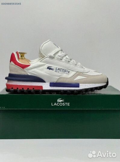 Lacoste: кроссовки для мужчин 41-45 размера