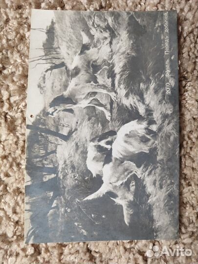 Почтовые карточки