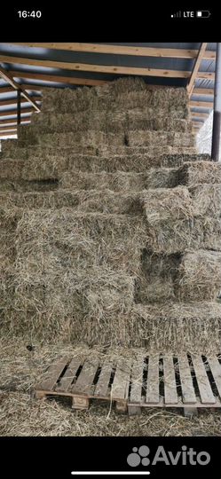Продам сено в тюках