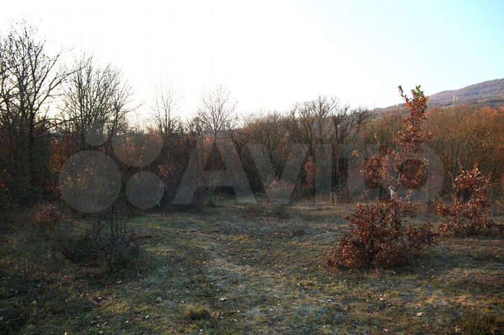 Участок 85 сот. (ИЖС)