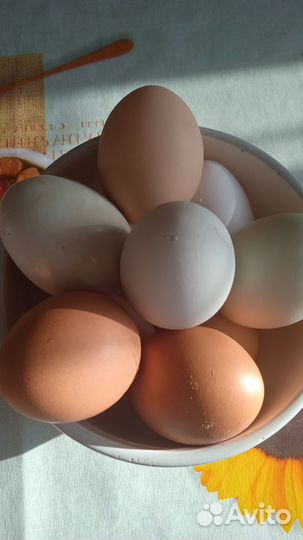 Яйцо Куриное,Гусиное