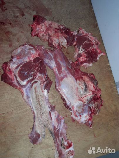 Обрезь с голов