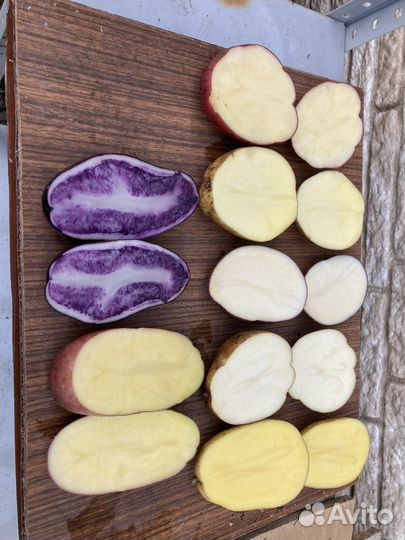 Картофель сортовой