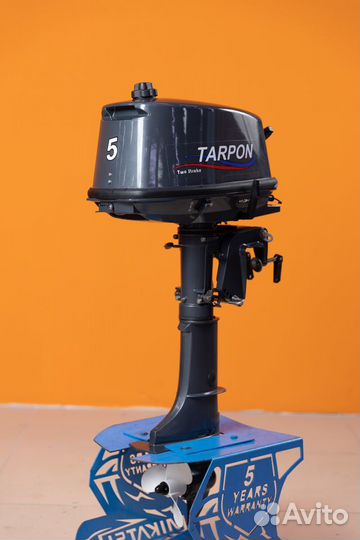 Лодочный мотор Tarpon T 5 S