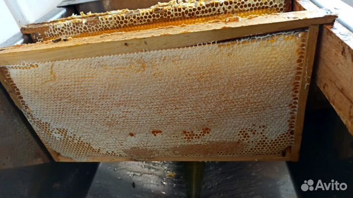 Продаю мед разнотравье