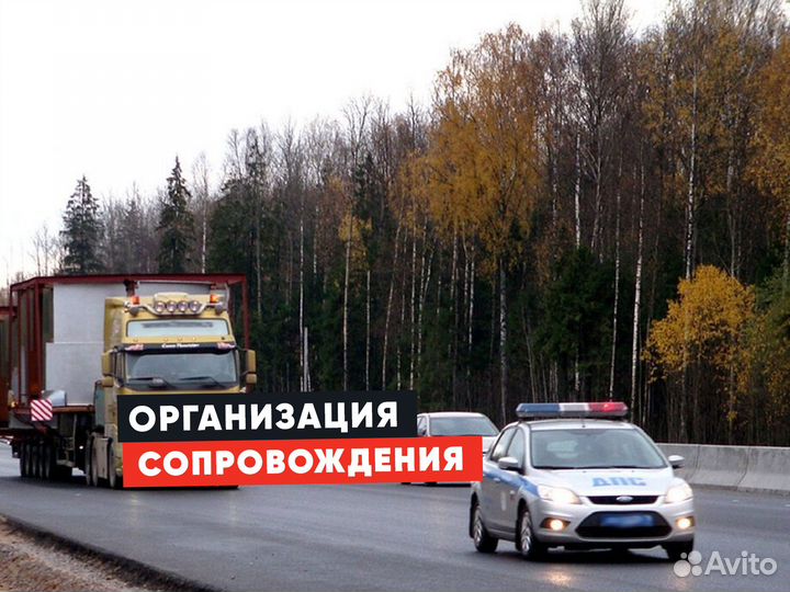 Трал межгород от 250 км