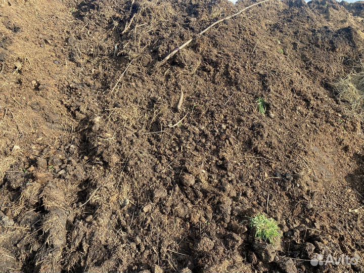 Компост бесплатно (самовывоз)