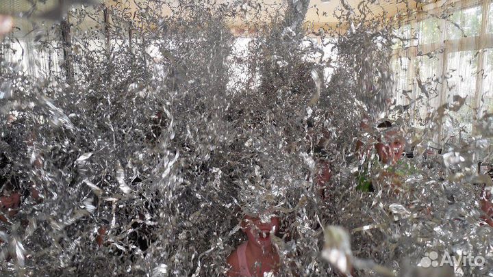 Серебреное шоу, серебряная дискотека