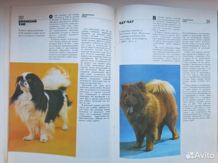 Календари, книги, фото и открытки с собаками, СССР