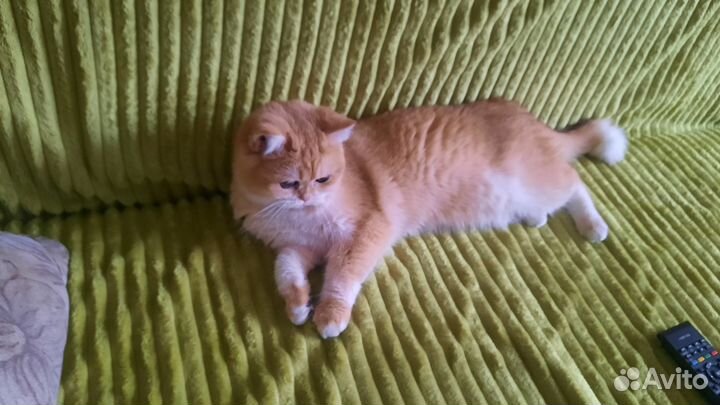 Очаровашка