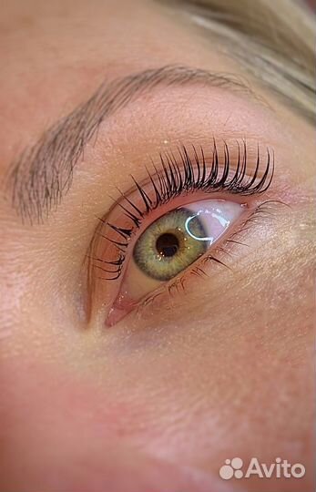 Ламинирование ресниц/Оформление бровей/Обучение