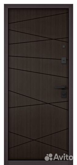 Дверь входная железная в квартиру