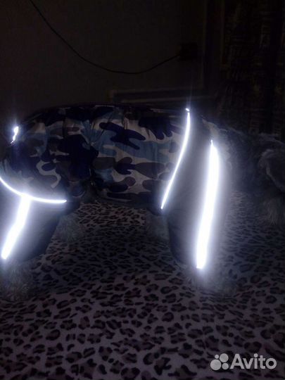 Комбез для собаки