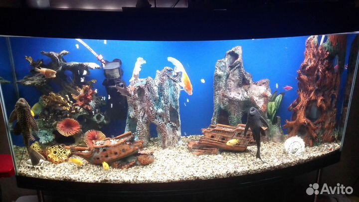Аквариум