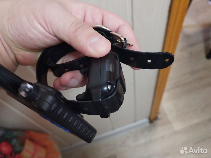 Ошейник для собак