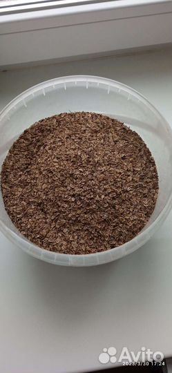 Семена укропа