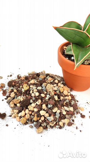 Грунт для суккулентов