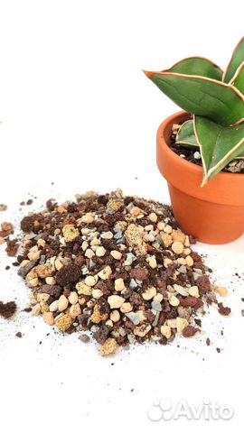 Грунт для суккулентов