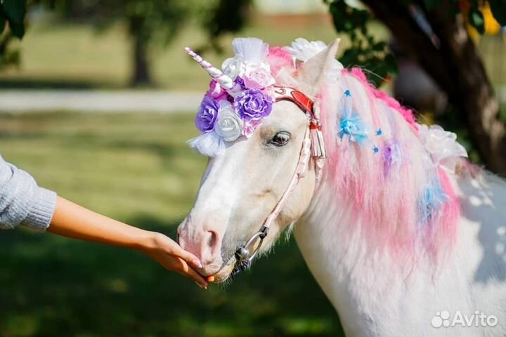 Продажа лошадей, пони