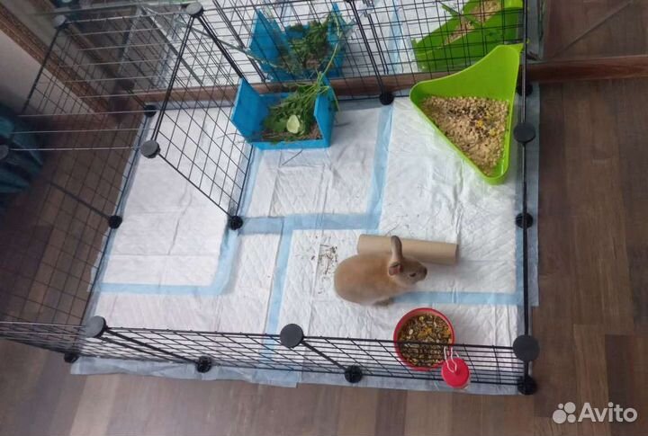 Клетка вольер для кролика. Новый