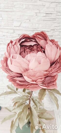 Цветок интерьерный