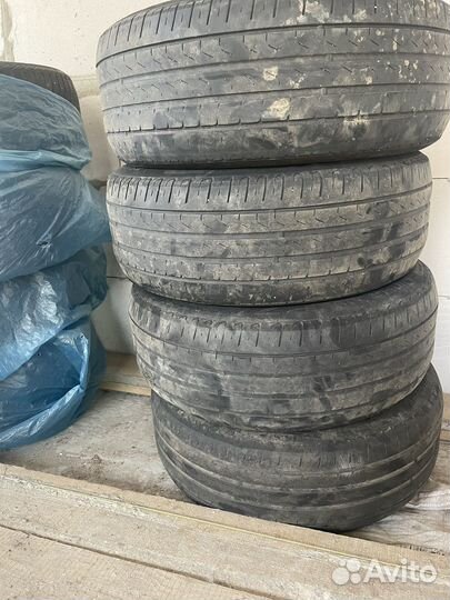 Pirelli WS-2 25/5 R16