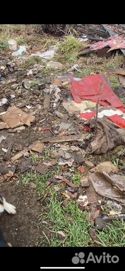 Щенок в добрые руки бесплатно