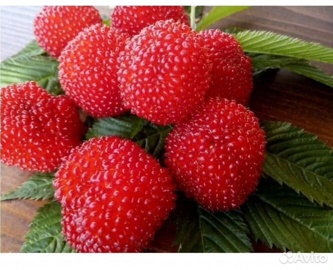 Клубника- малина
