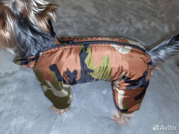 Комбинезон для маленькой собаки