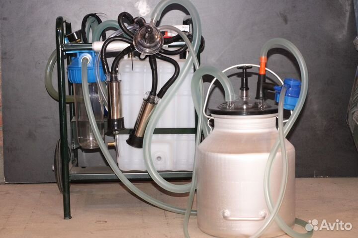 Доильный аппарат для коров