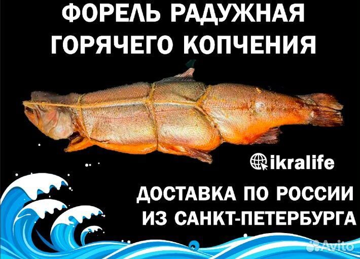 Рыба Форель горячего копчения. Доставка по РФ