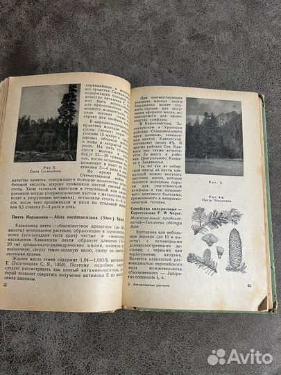 Народная медицина, лекарственные растения лот