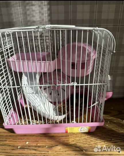 Клетка для грызунов бу