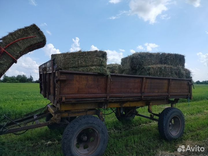 Сено в тюках