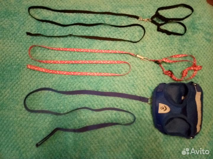 Шлейка с поводком для кошек и собак мелкой породы