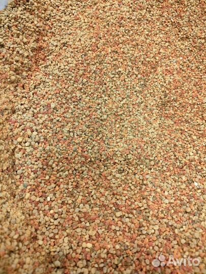 Пыльца пчелиная 2024г