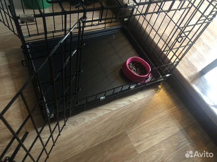 Вольер для животных аренда кошек,собак