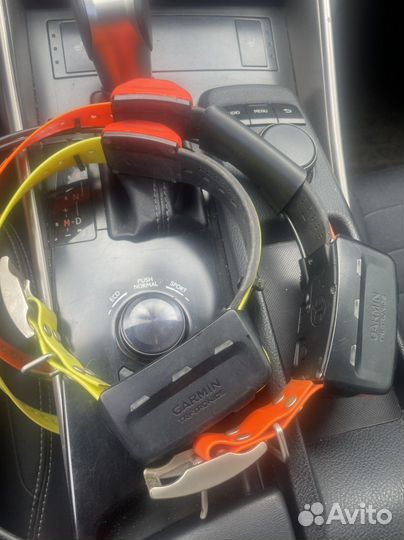 Ошейник garmin t5 rus