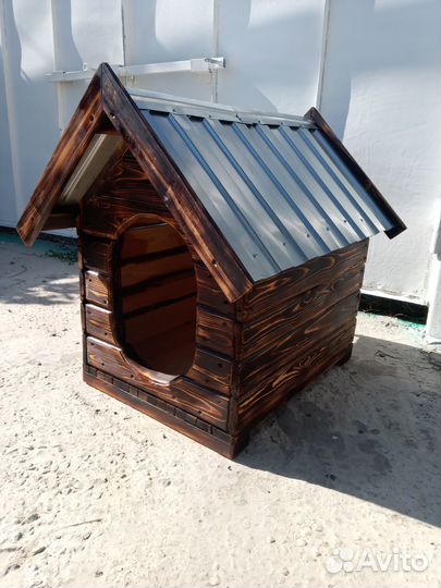 Собачья конура