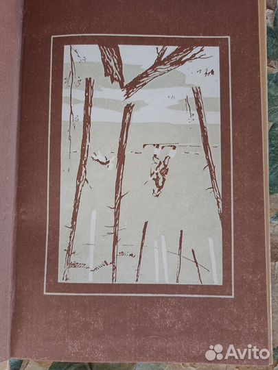 Охота и охрана природы А.Б. Коган 1984