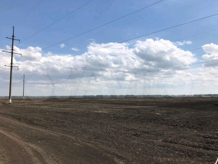 Участок 5 га (СНТ, ДНП)