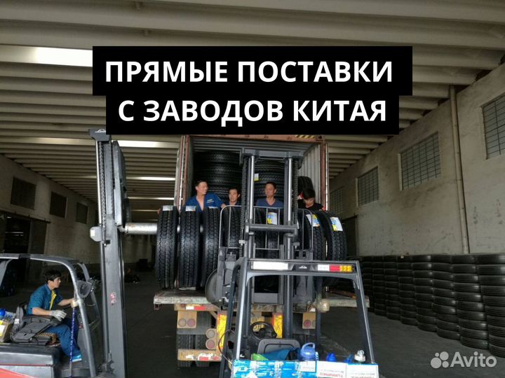 Foman Polar Bear 205/55 R16