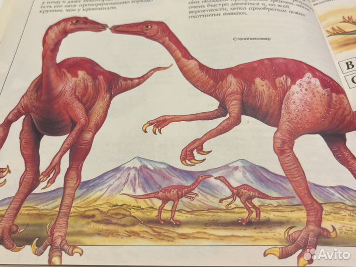 Большая энциклопедия почемучек